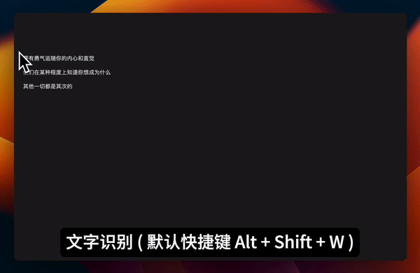 截图 OCR
